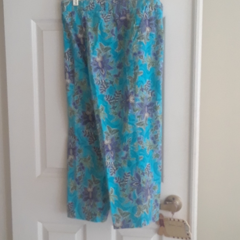 Capris - Picture 4 of 7